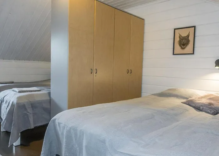 Levin Gaissa By Interhome Semesterbostad Levi